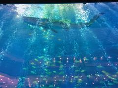 -成都浩海立方海洋公园