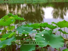 -东郊湿地公园