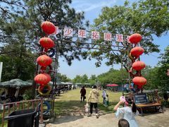 -大塘金香草谷