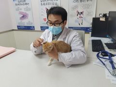 -宠颐生宠物医院·犬猫全科·皮肤科(商业街店)