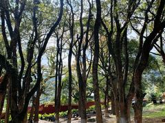 -福清灵石山国家森林公园