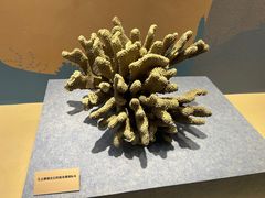 -舟山博物馆