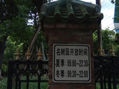 -名树园