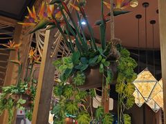 -云海肴·汽锅鸡·云南菜(天津国金汇店)