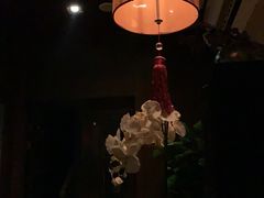 -Dragonfly悠庭·按摩Spa(新乐路店)