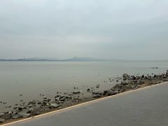 -深圳湾公园(南山区)