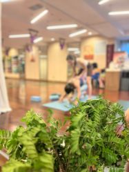 -皇冠瑜伽·普拉提·疼痛康复