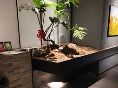 -望京辣宴·古法川菜(望京店)