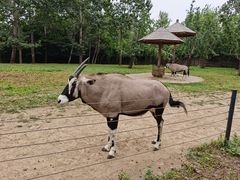 -大连森林动物园