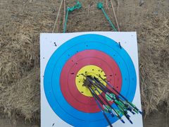 -道顺射箭·团建·骑射(张杨路店)