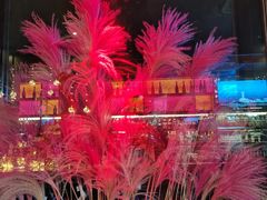 -YUE·6·西式融合餐厅(外滩六号店)