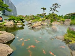 -罗红摄影艺术馆