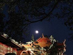 -江心屿景区
