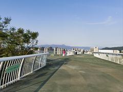 -飞凤山奥体公园