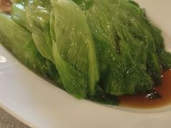 唐生菜-潮府馆·非遗潮州菜·世纪公园(新国际博览中心店)