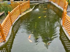 -九尺赵老四鲜鹅肠火锅