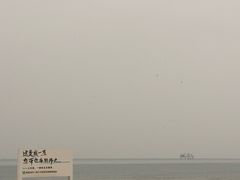 -秦皇岛阿尔卡迪亚滨海度假酒店