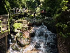 -牛背梁国家森林公园