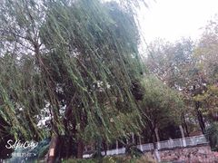 -范湖(地铁站)