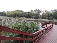 -新江湾城公园
