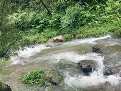 -藏龙百瀑风景区