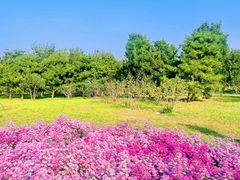 -回龙观体育文化公园