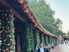 -郑州方特梦幻王国