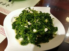 -松针蔡记蒸饺(花园路店)