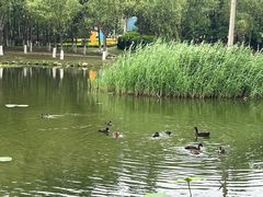 -前关湿地公园