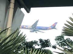 -宝安西湾红树林湿地公园