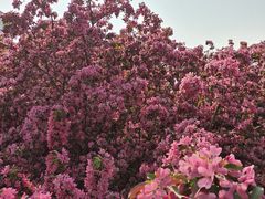 -元大都城垣遗址公园