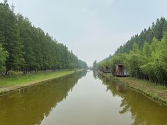 -黄海国家森林公园