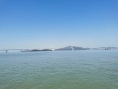 -南沙蒲洲花园