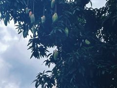 -梅林生活中心