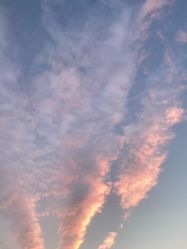 -悟空祛痘·诺奖技术专业店