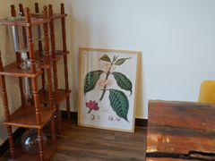 -MUSEO COFFEE咖啡博物馆