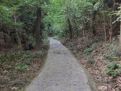 -紫金山山顶公园