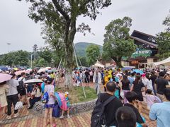 -苏州乐园森林水世界