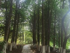 -白塘生态植物园