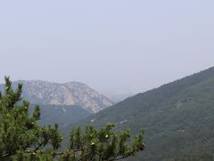 -金龙寺国家森林公园