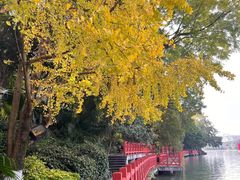 -桂林两江四湖景区