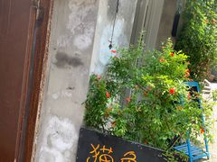 -猫色咖啡·猫咖