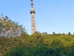 -威高民俗文化邨