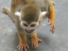 -西安秦岭野生动物园