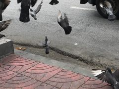 -唐人街(耀华力路)