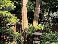 -静安公园(静安寺街道)