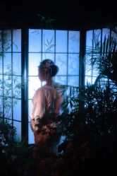 点击看大图 -WAVE SODA摄影工作室