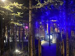 -汉拿山温泉度假酒店