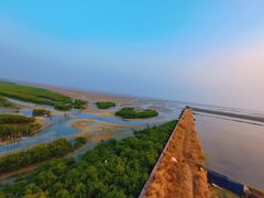 -北海金海湾红树林生态旅游区