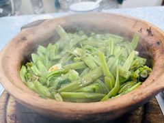 澳门虾酱啫通菜梗-天宝食坊·啫啫煲大排档(西华路店)